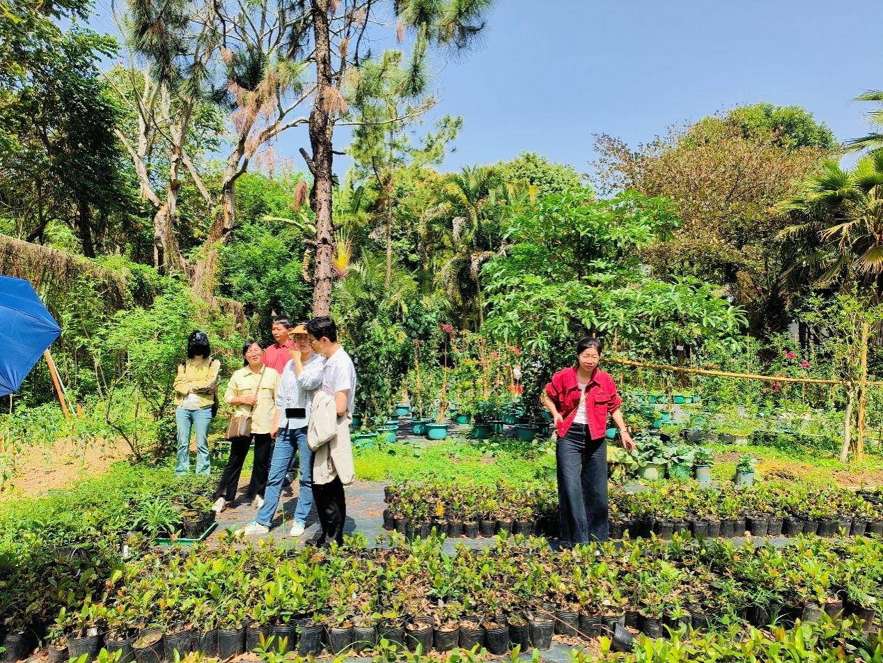 古天乐澳门太阳集团城
