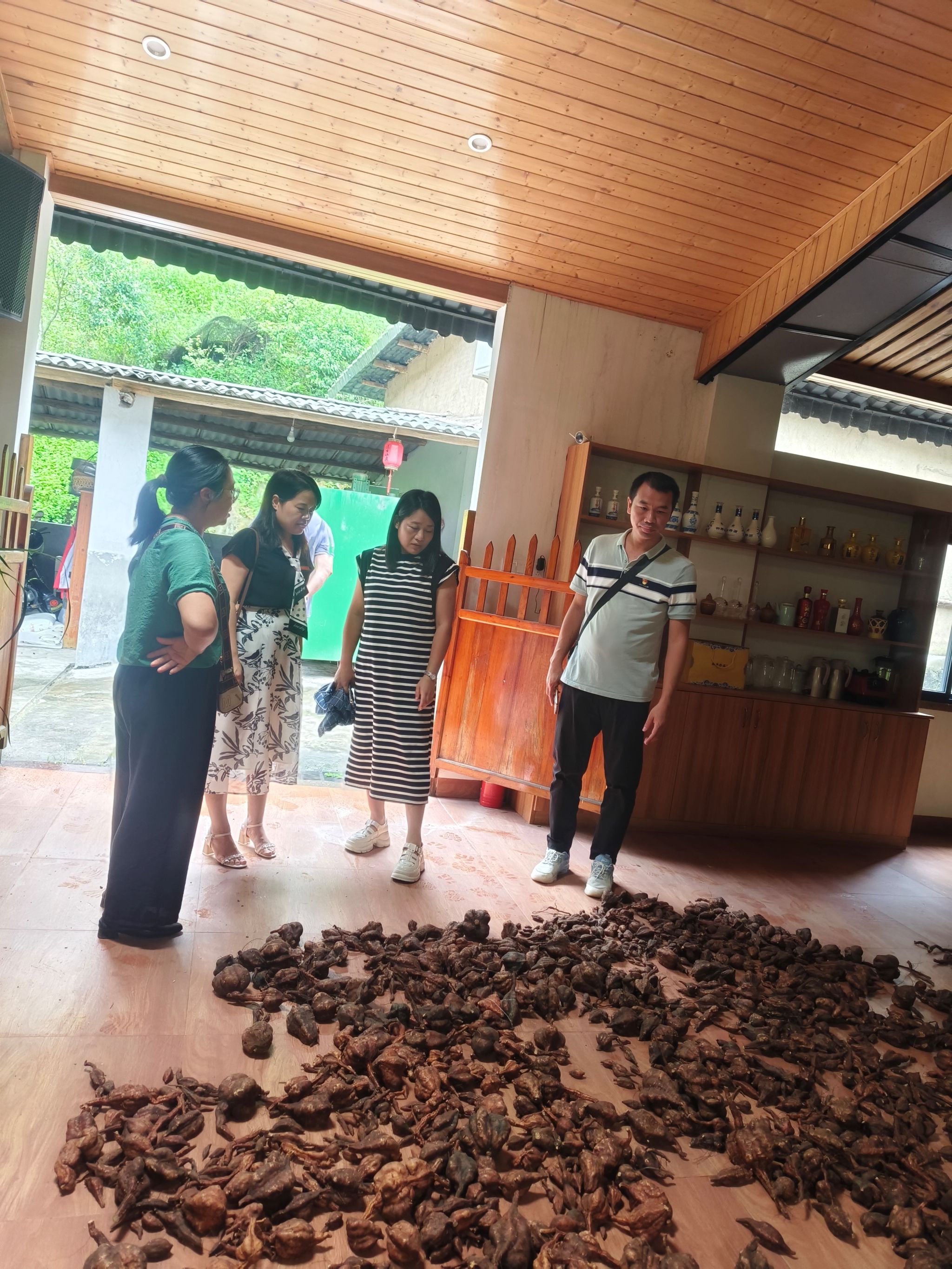 古天乐澳门太阳集团城