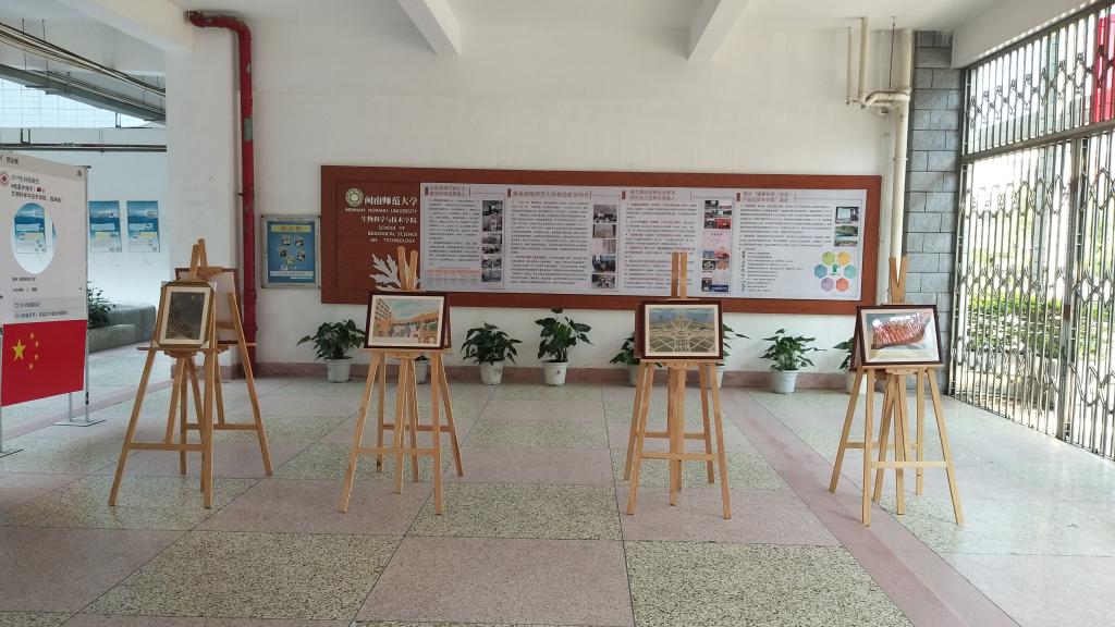 古天乐澳门太阳集团城