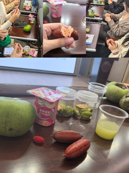 古天乐澳门太阳集团城