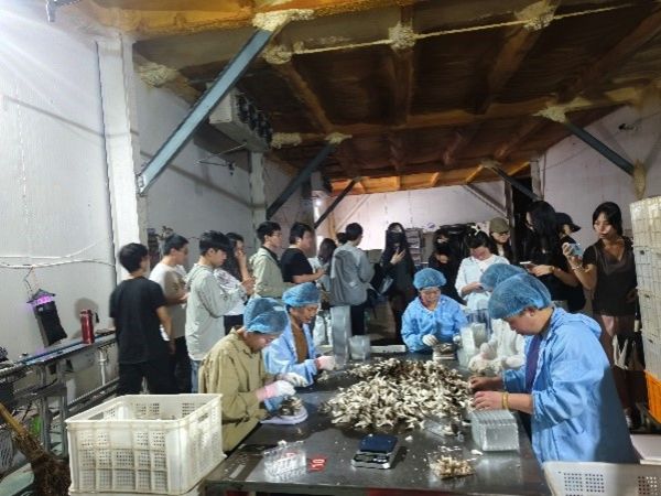 古天乐澳门太阳集团城