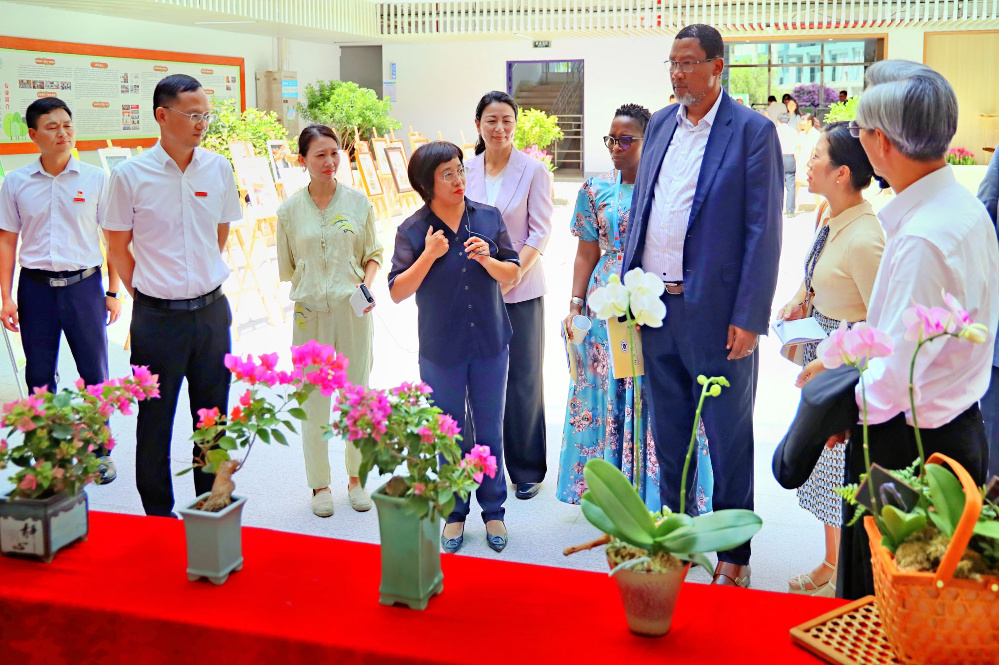 古天乐澳门太阳集团城