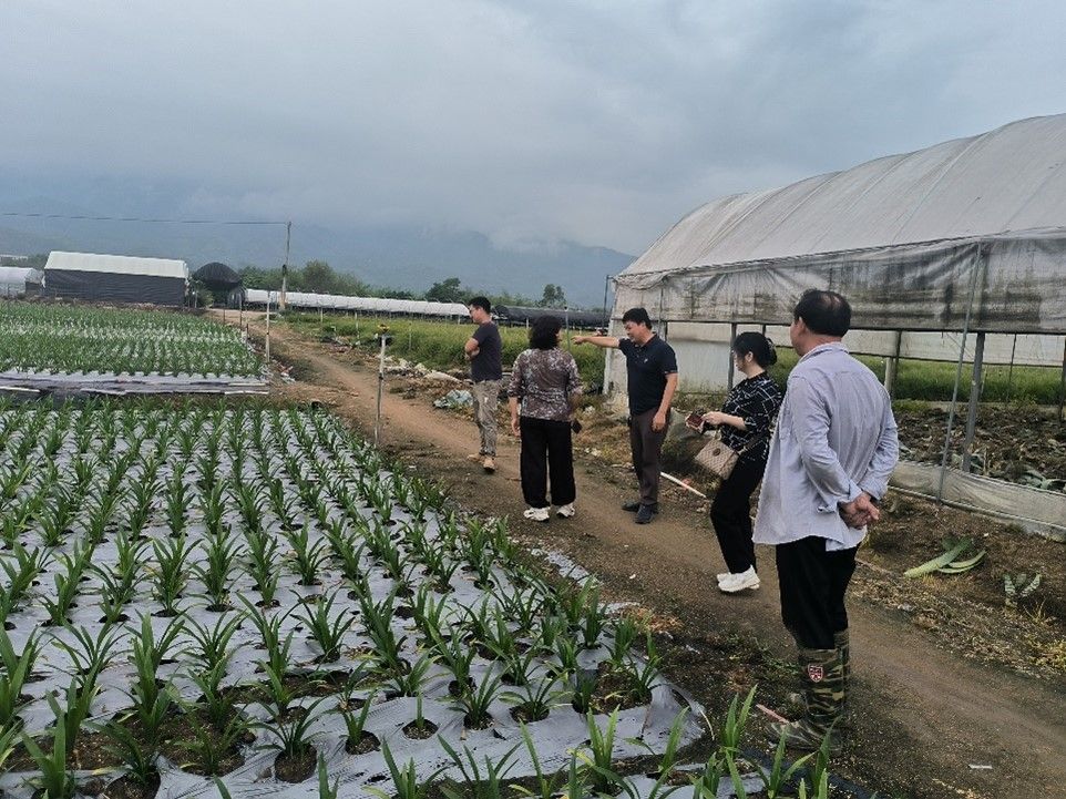 古天乐澳门太阳集团城