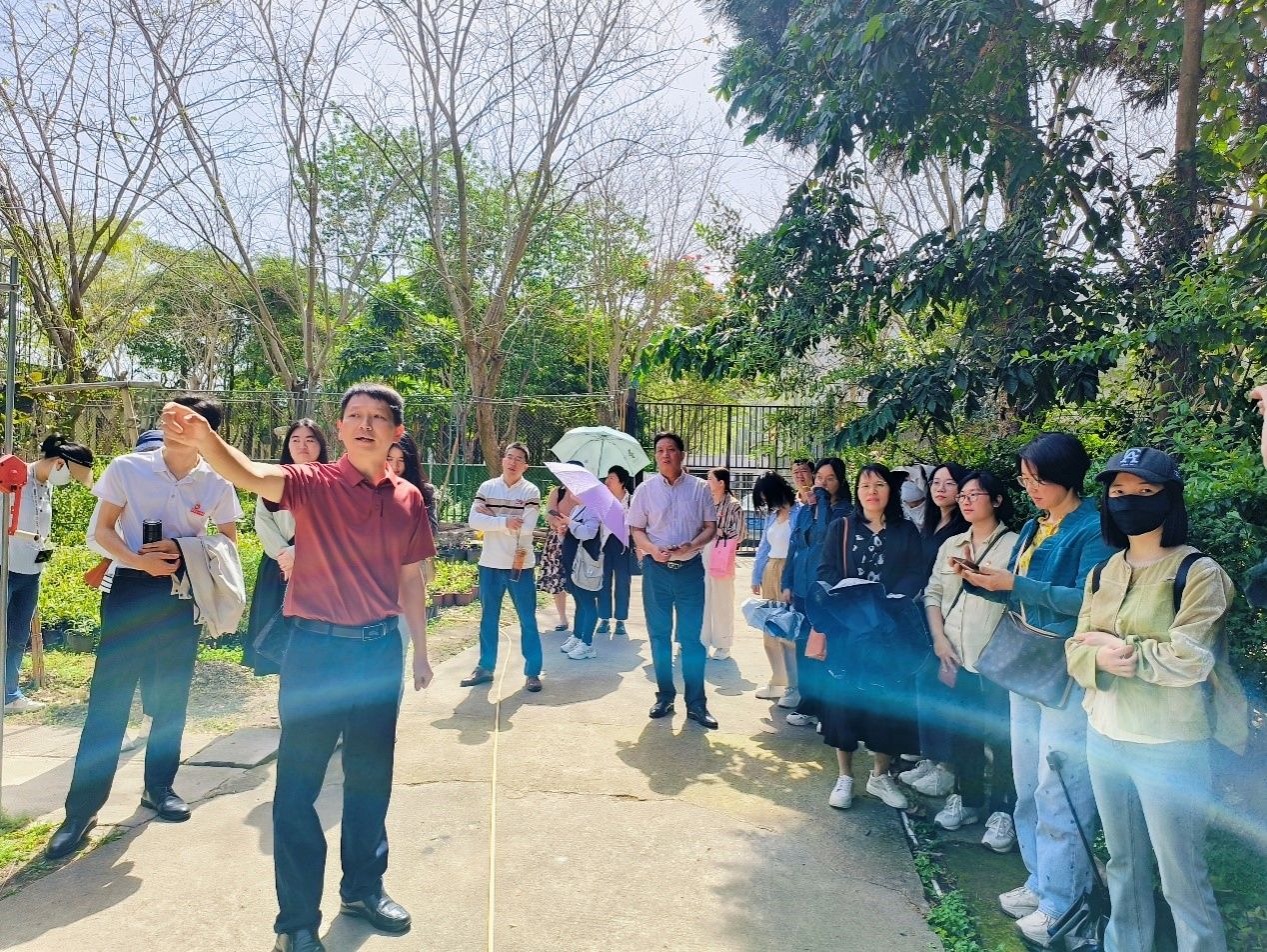 古天乐澳门太阳集团城