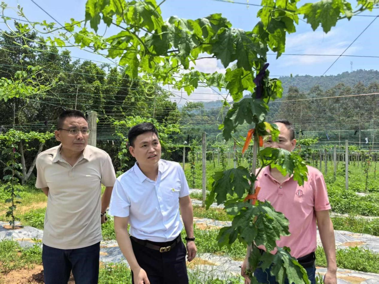 古天乐澳门太阳集团城