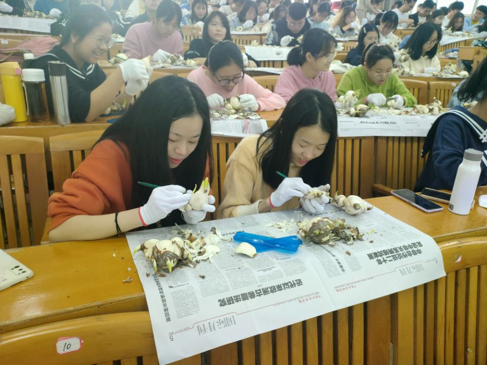 古天乐澳门太阳集团城