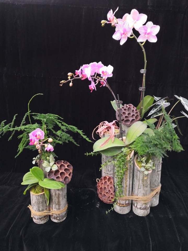 古天乐澳门太阳集团城