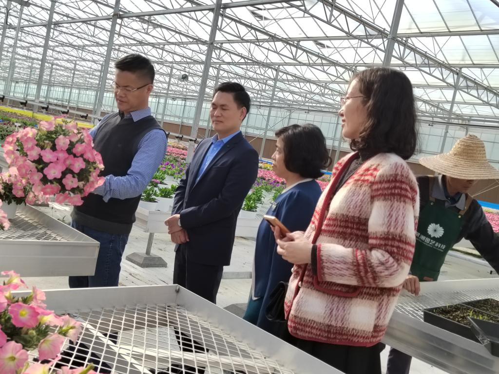 古天乐澳门太阳集团城