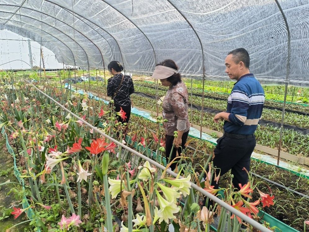 古天乐澳门太阳集团城