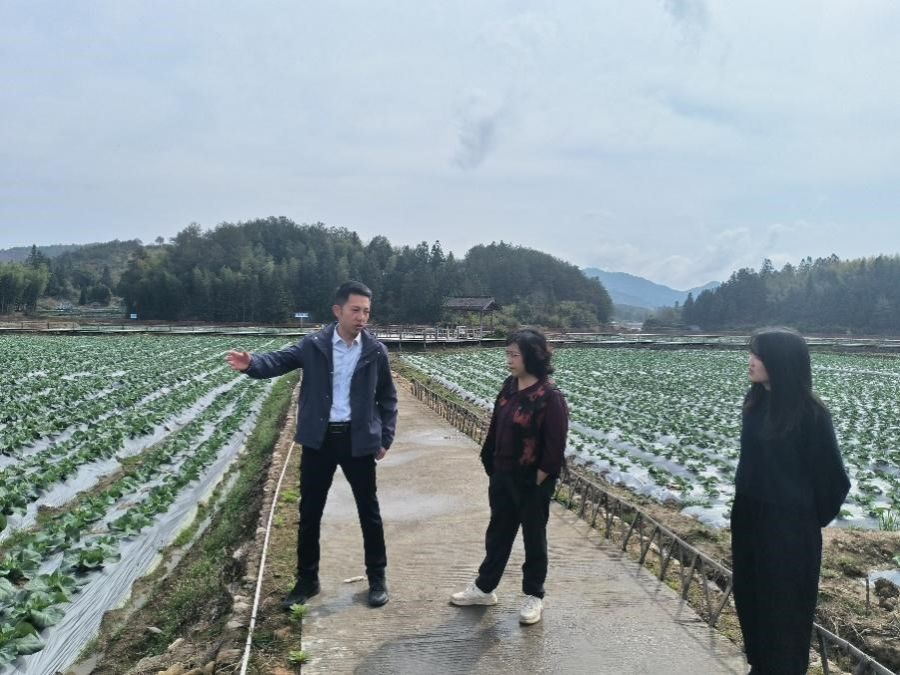 古天乐澳门太阳集团城