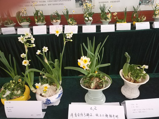 古天乐澳门太阳集团城