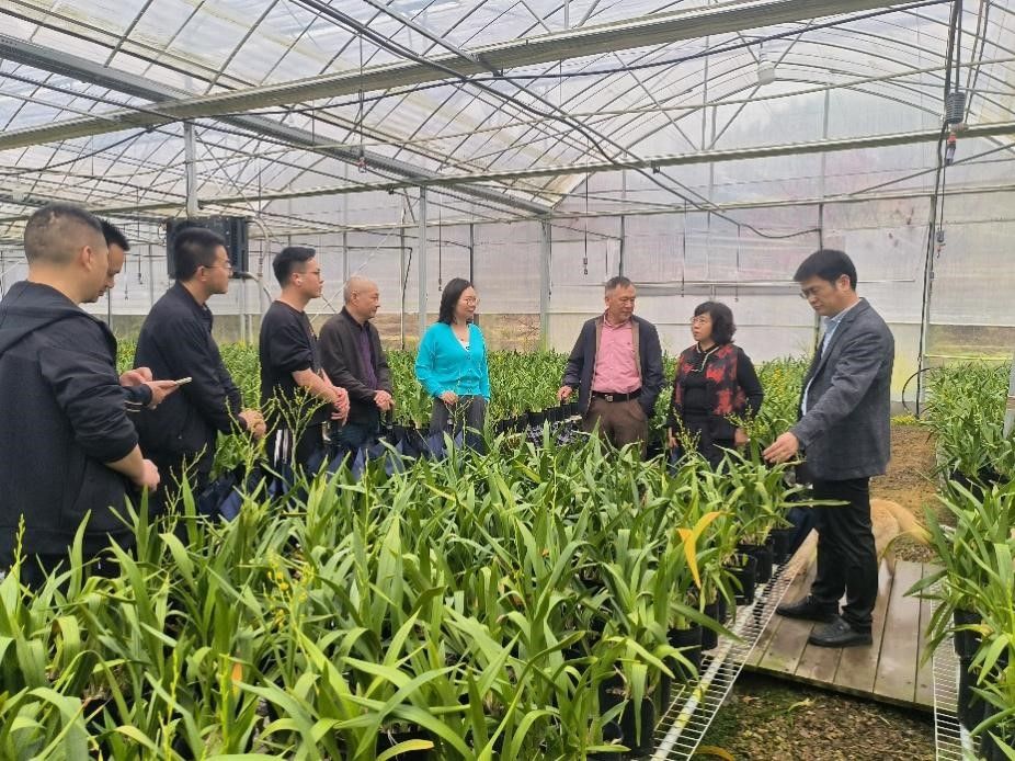 古天乐澳门太阳集团城