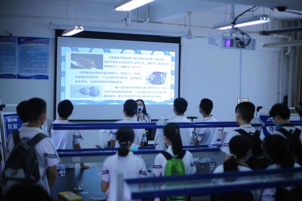 古天乐澳门太阳集团城