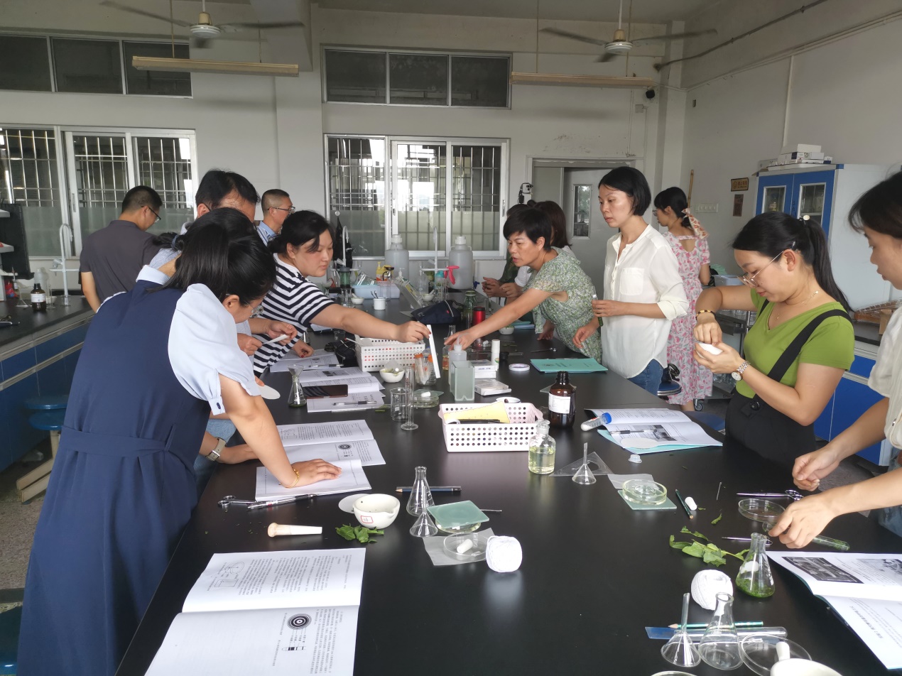 古天乐澳门太阳集团城