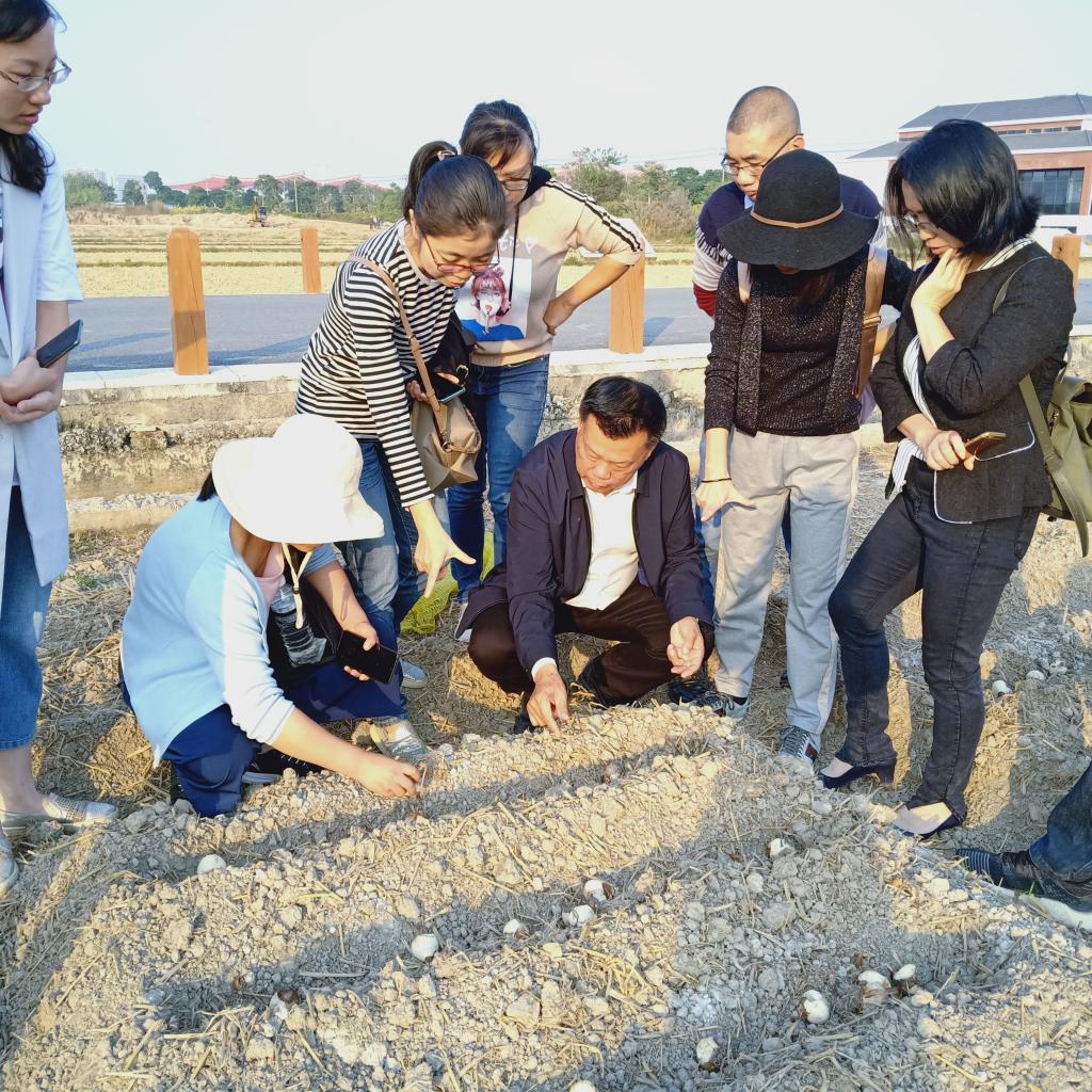 古天乐澳门太阳集团城