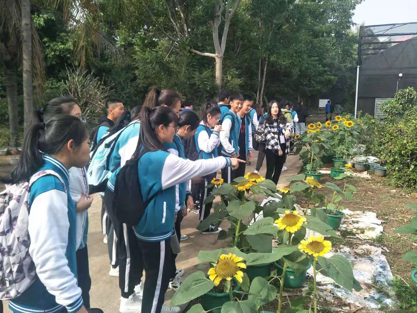 古天乐澳门太阳集团城