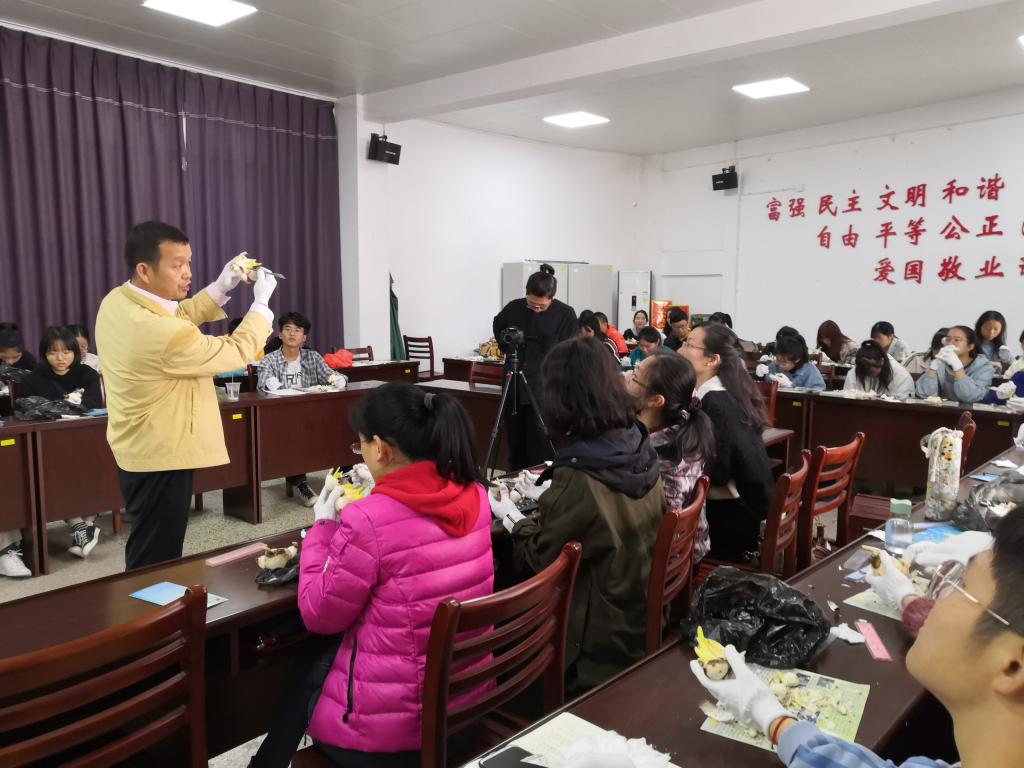 古天乐澳门太阳集团城