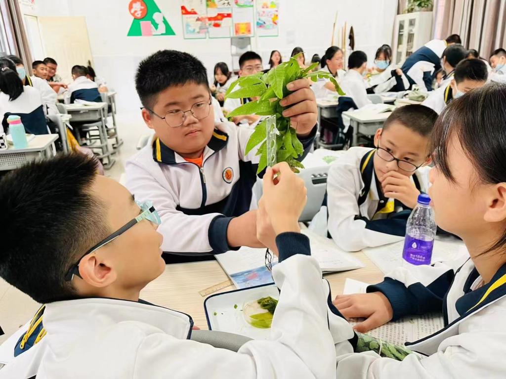 古天乐澳门太阳集团城