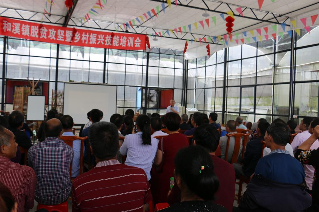 古天乐澳门太阳集团城