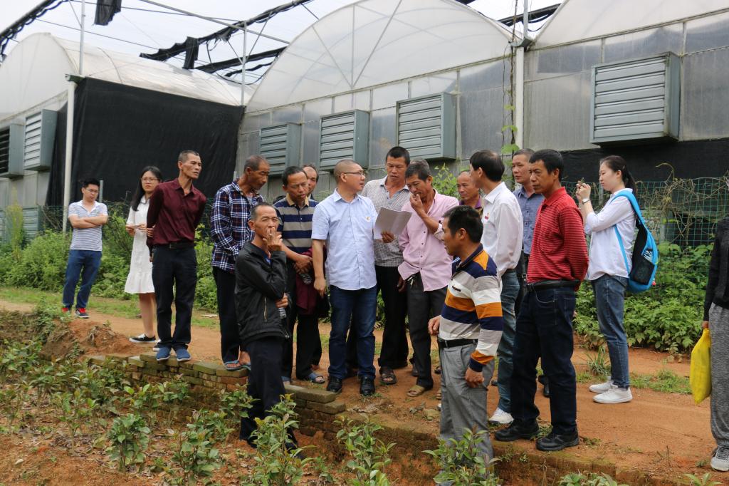 古天乐澳门太阳集团城