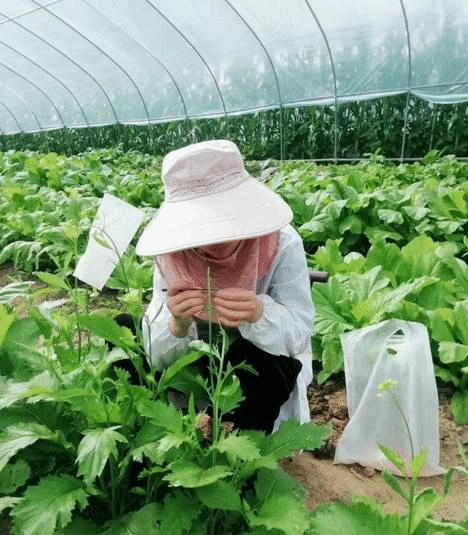 mmexport1700034620268