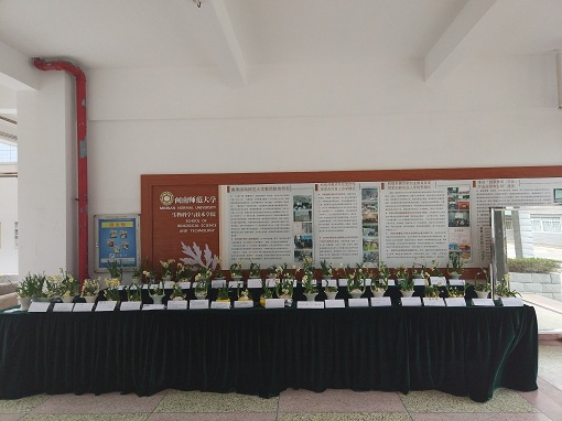 古天乐澳门太阳集团城