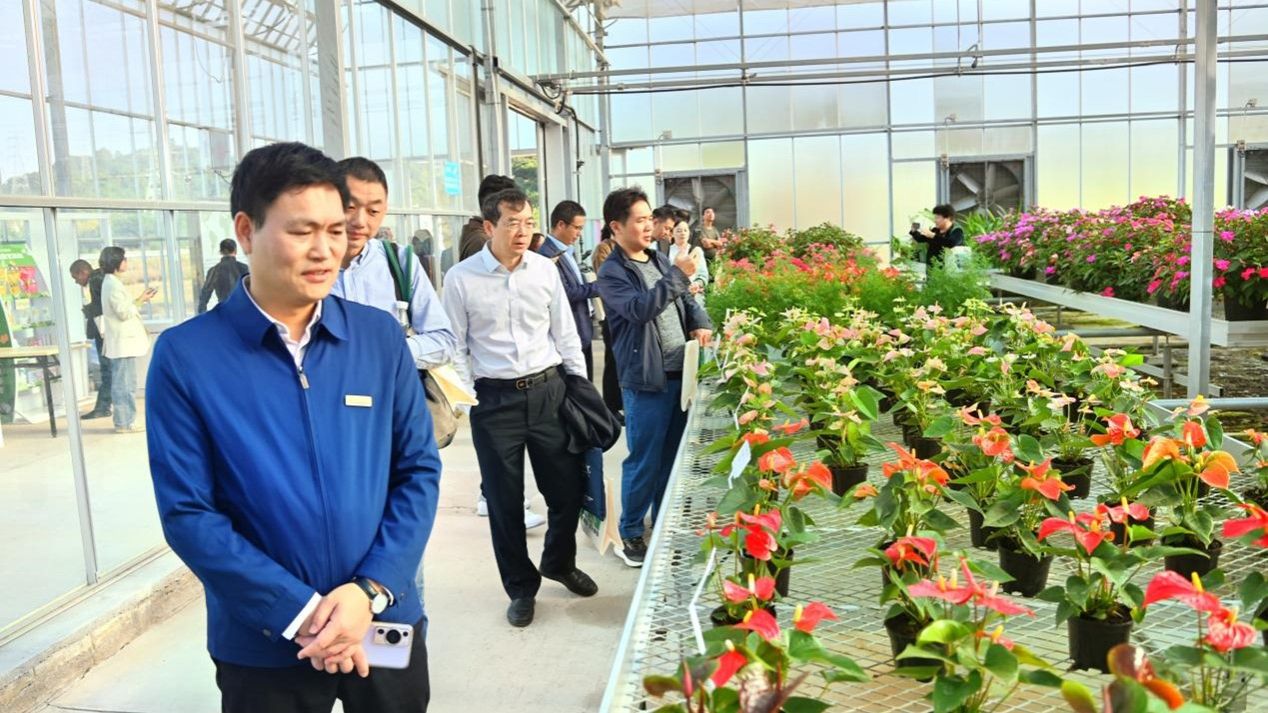 古天乐澳门太阳集团城