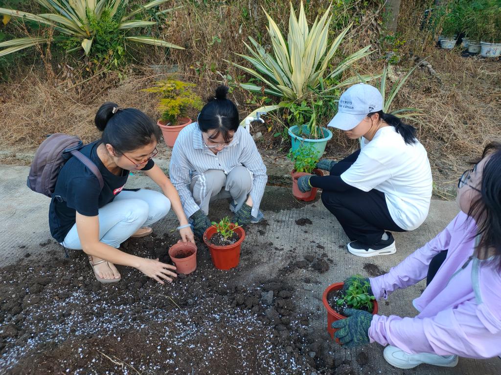 古天乐澳门太阳集团城