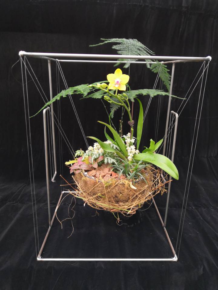 古天乐澳门太阳集团城