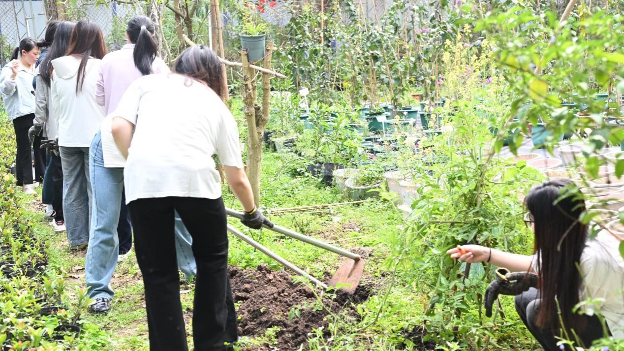 古天乐澳门太阳集团城