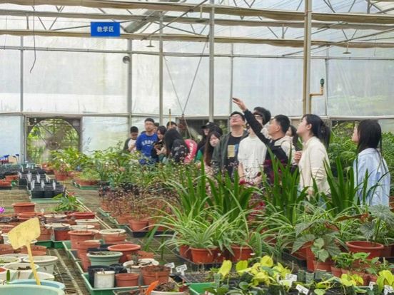 古天乐澳门太阳集团城