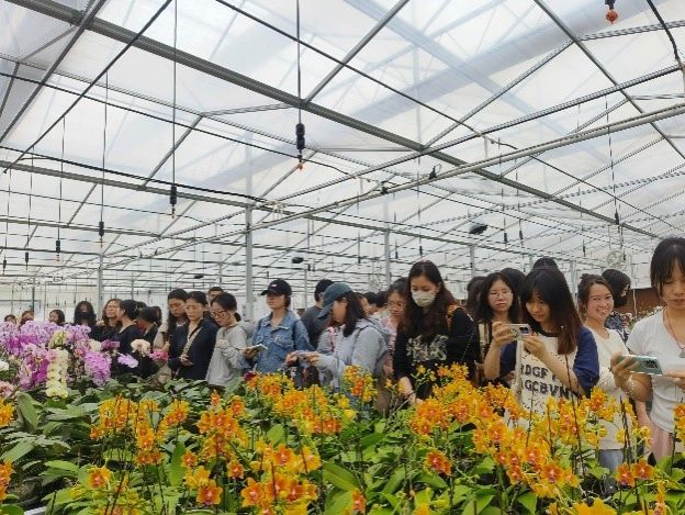 古天乐澳门太阳集团城