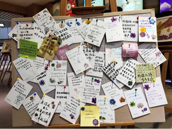 古天乐澳门太阳集团城