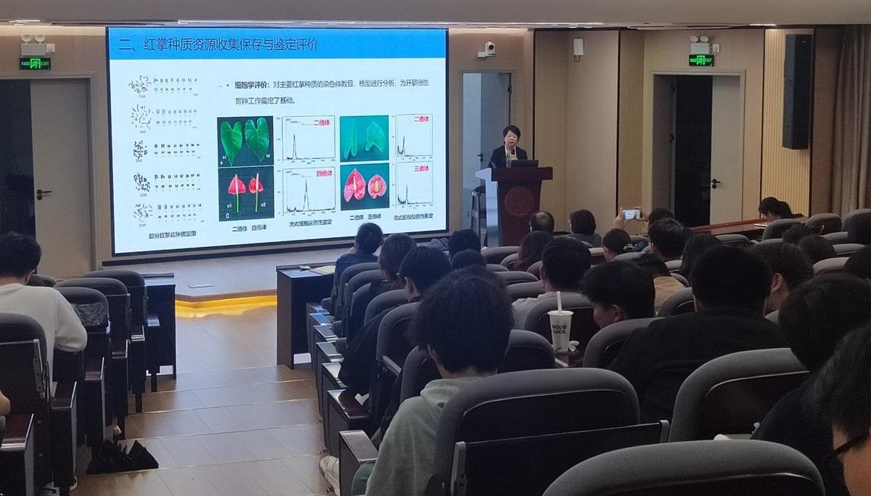 古天乐澳门太阳集团城