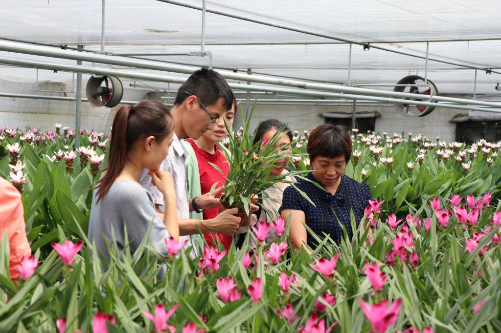 古天乐澳门太阳集团城