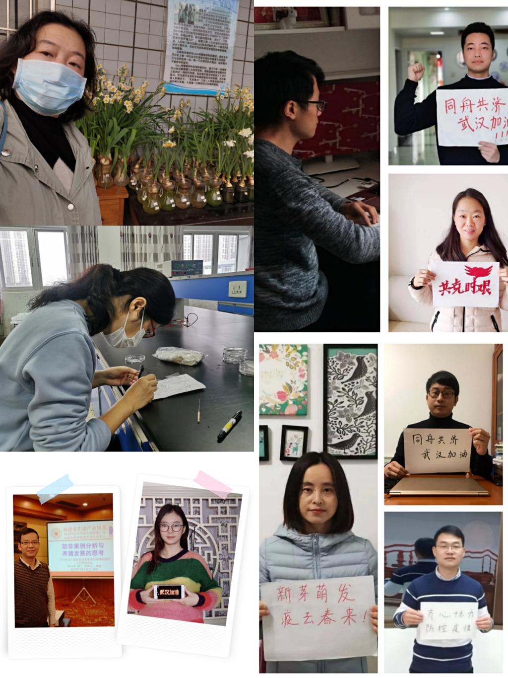 古天乐澳门太阳集团城