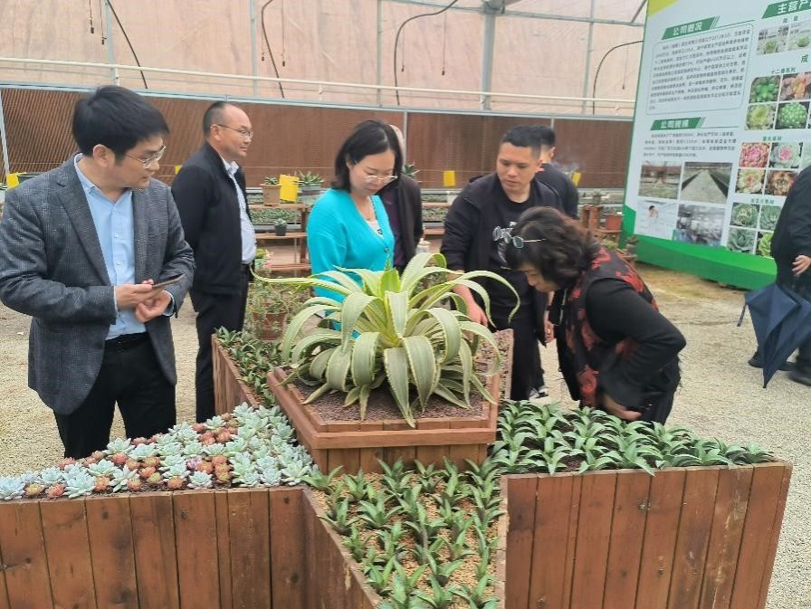 古天乐澳门太阳集团城