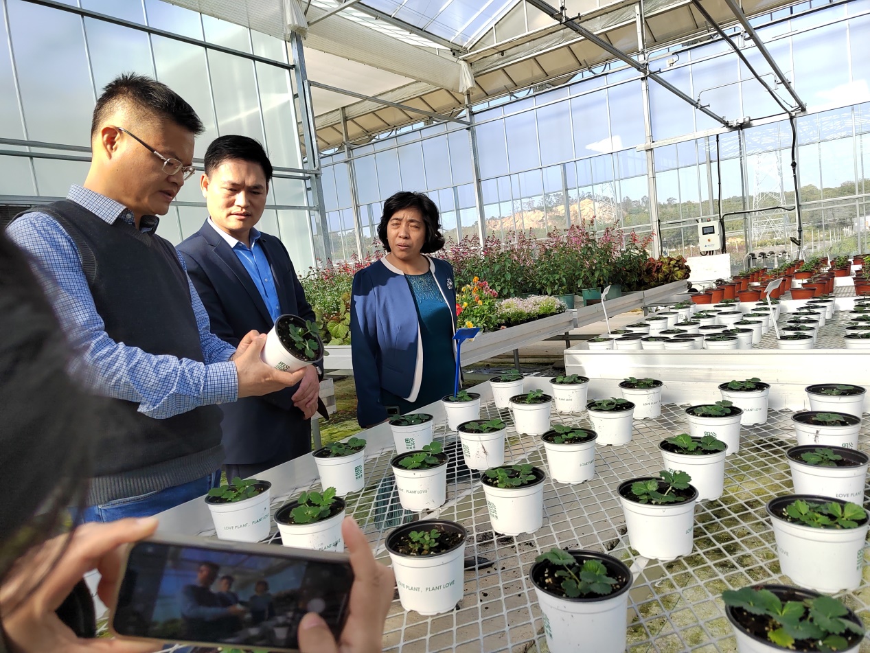 古天乐澳门太阳集团城