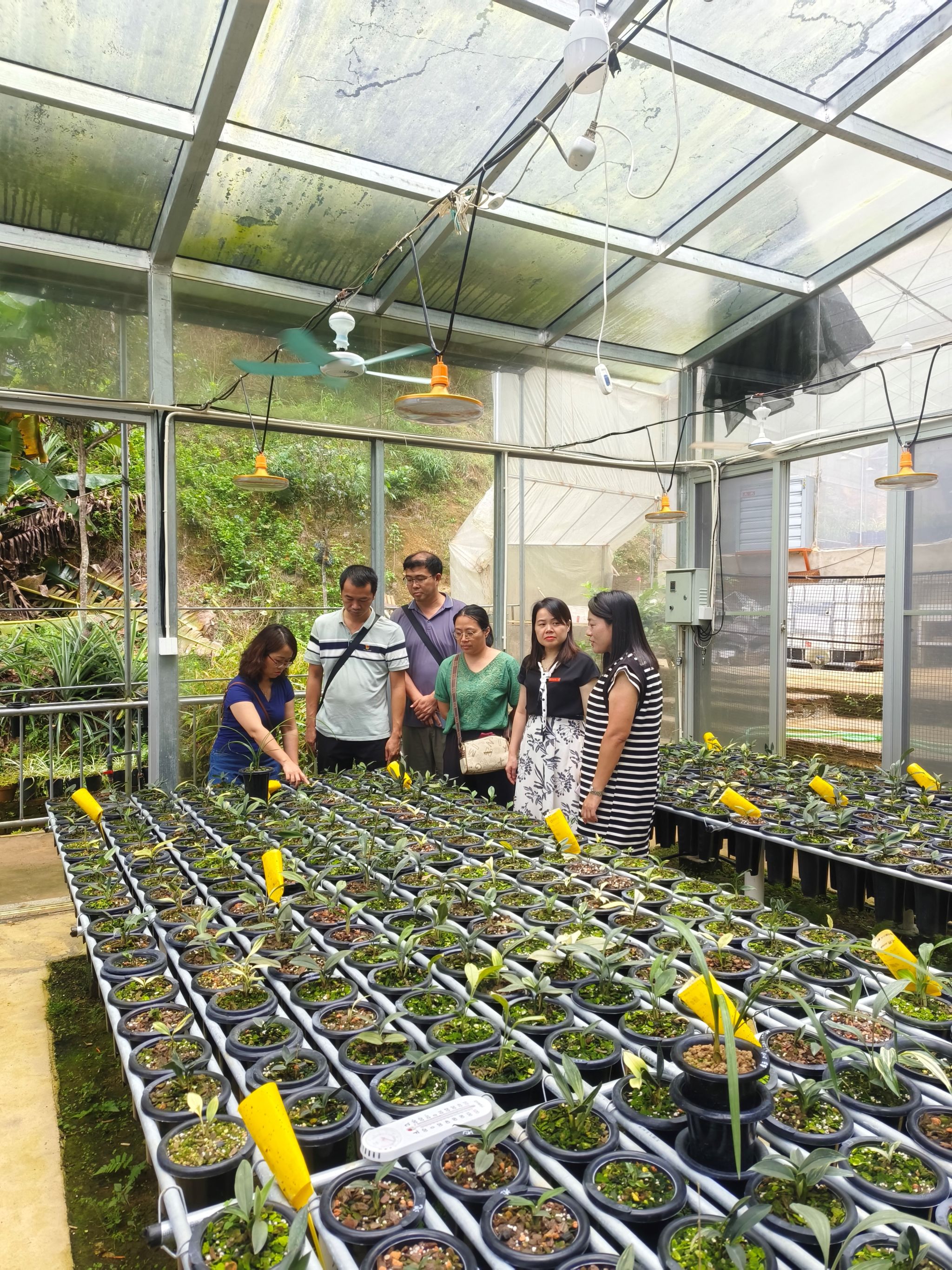 古天乐澳门太阳集团城