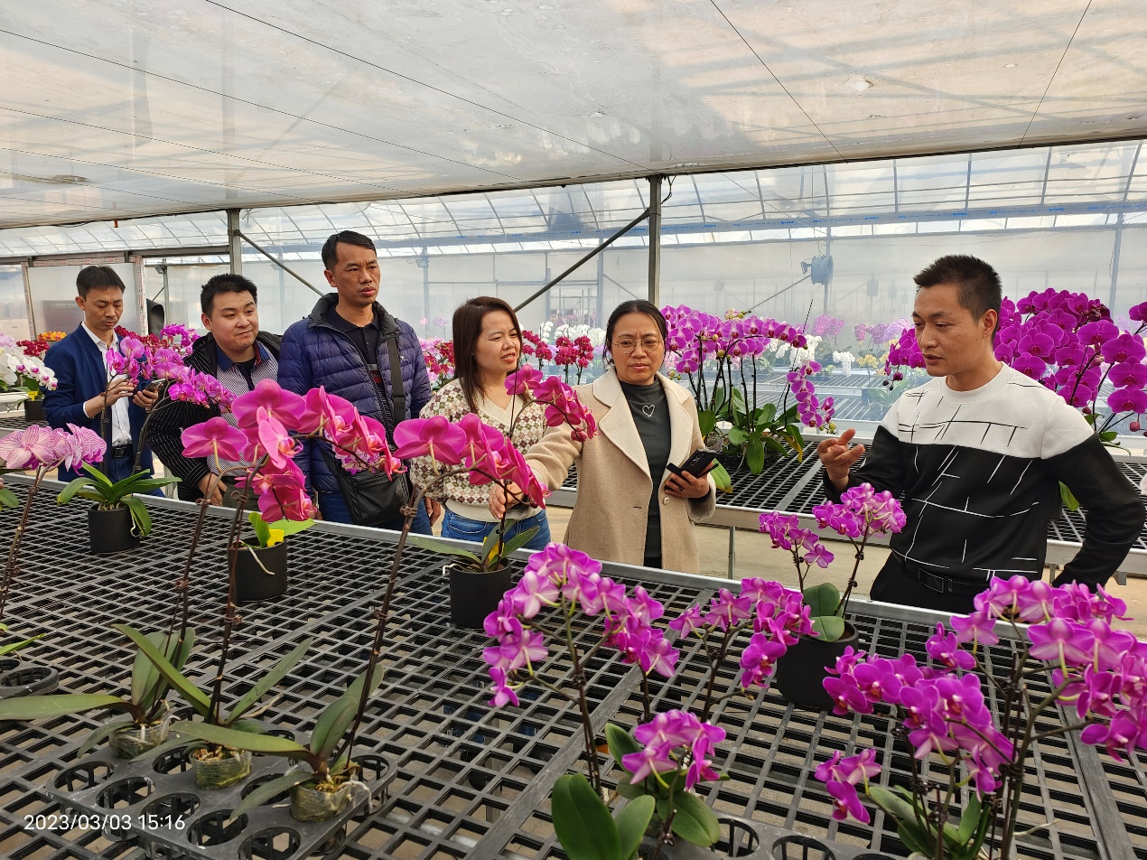 古天乐澳门太阳集团城