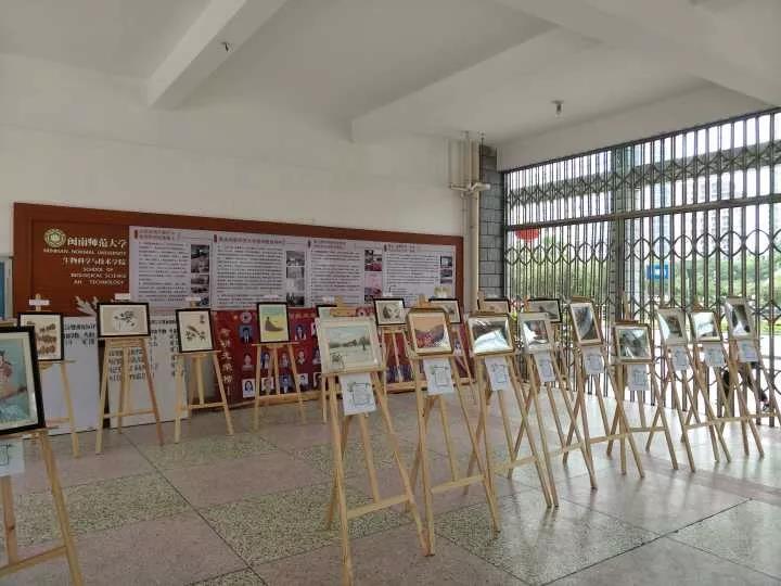 古天乐澳门太阳集团城