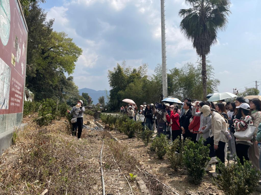 古天乐澳门太阳集团城