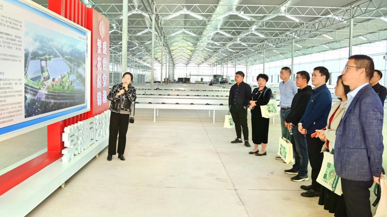 古天乐澳门太阳集团城