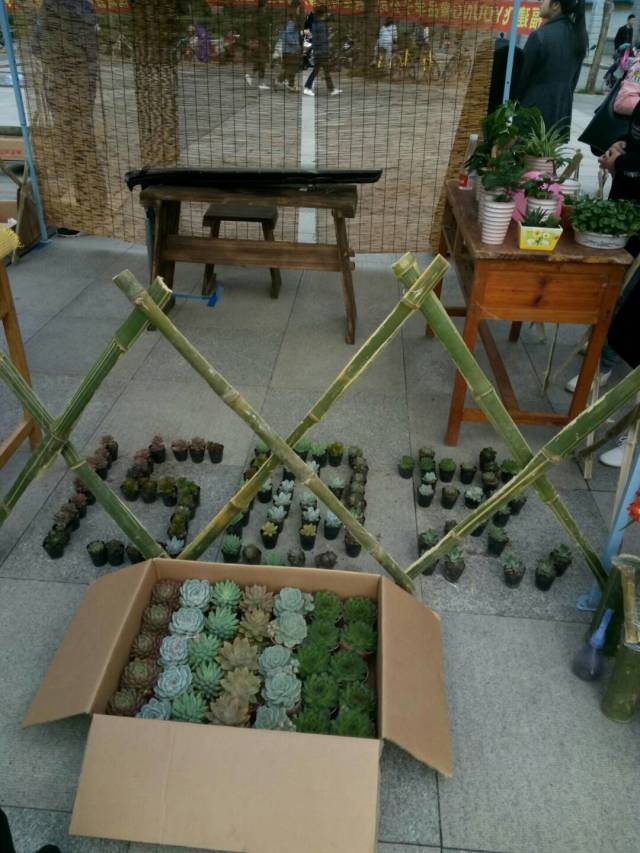 古天乐澳门太阳集团城