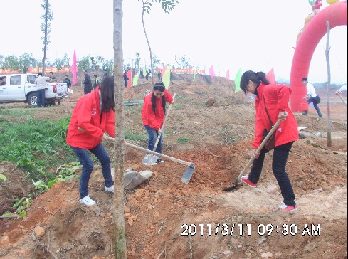 古天乐澳门太阳集团城