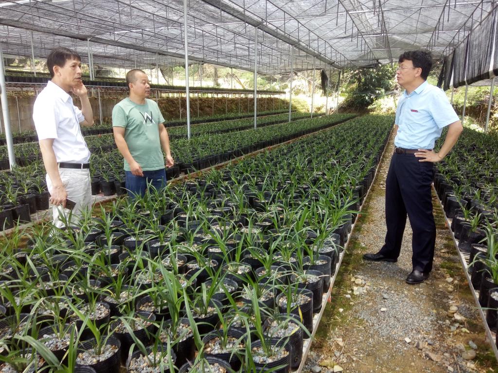 古天乐澳门太阳集团城